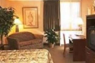 אירווינג Extended Stay America Suites - Dallas - Las Colinas - Green Park Dr חדר תמונה